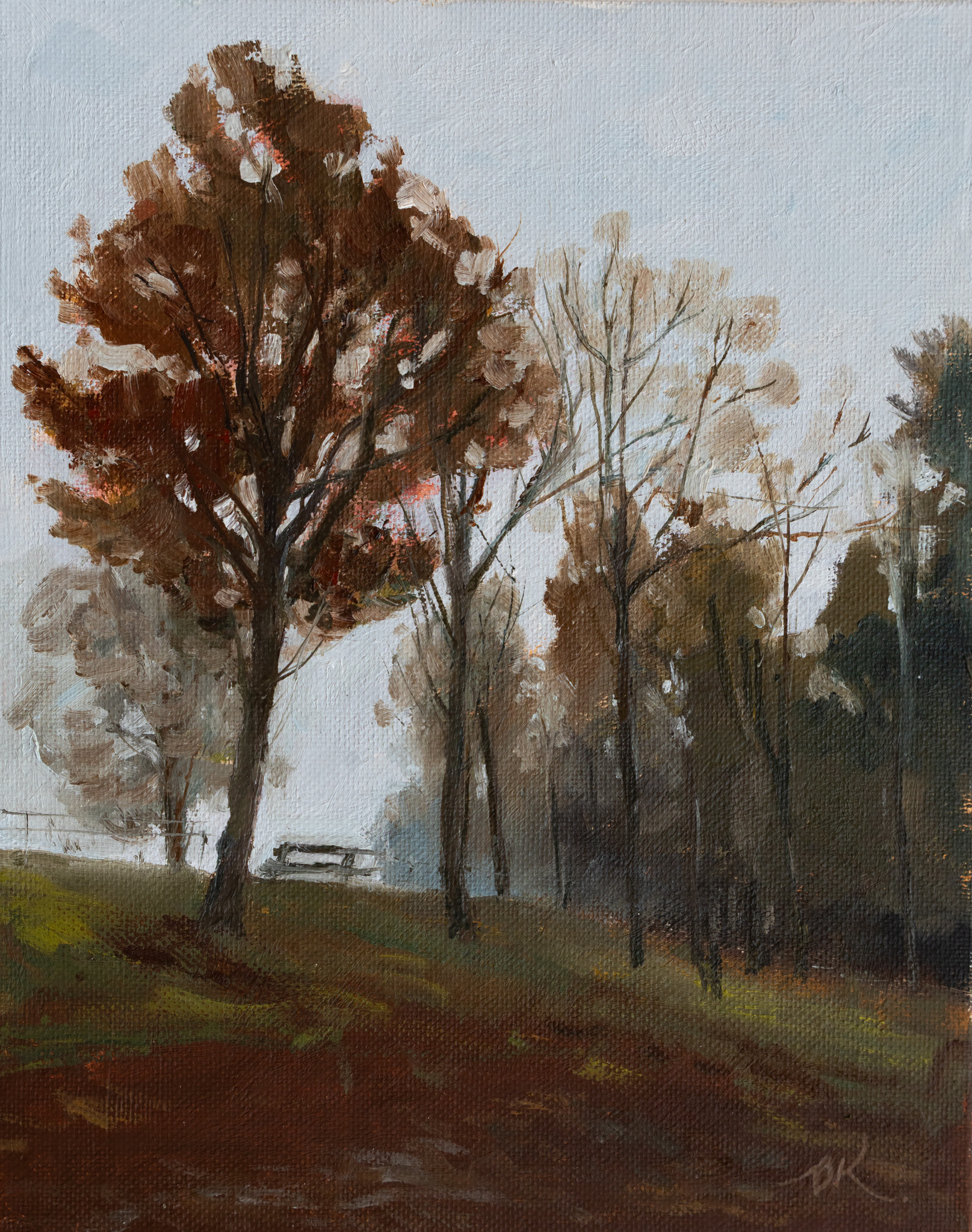 foggy-evening-in-october