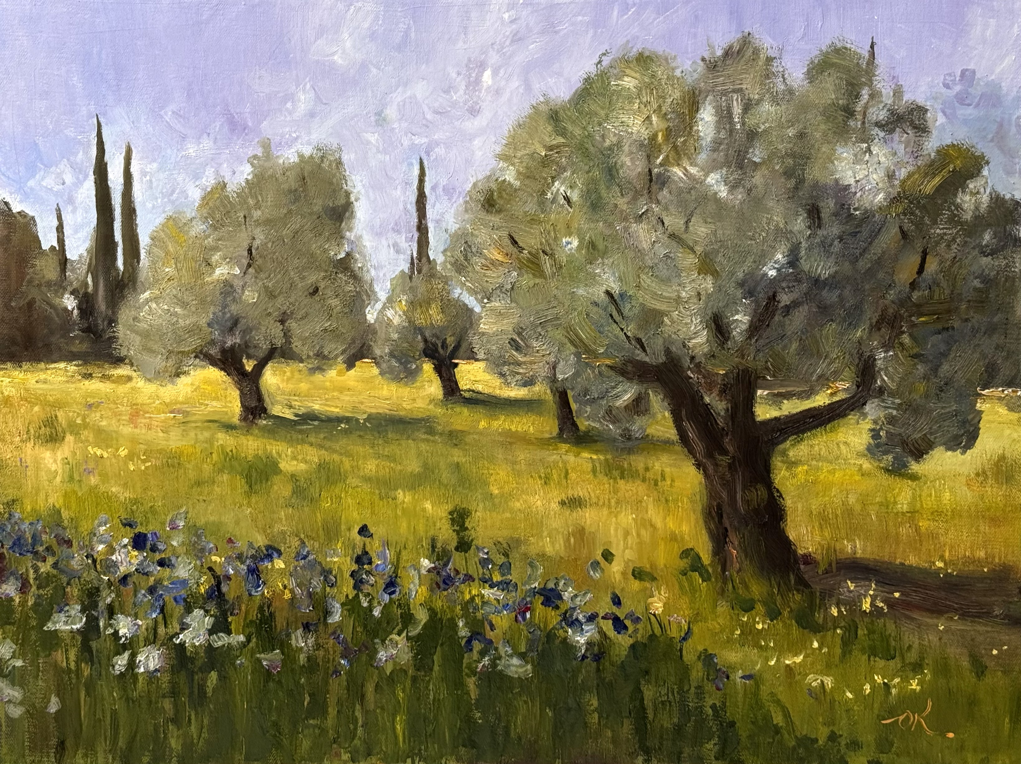 olive-trees-of-acre